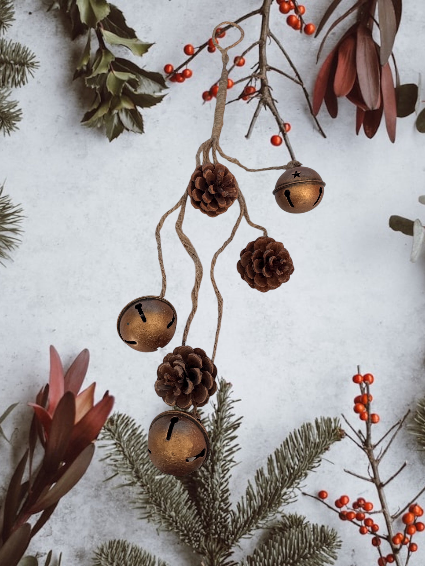 Appendino pigne e campane