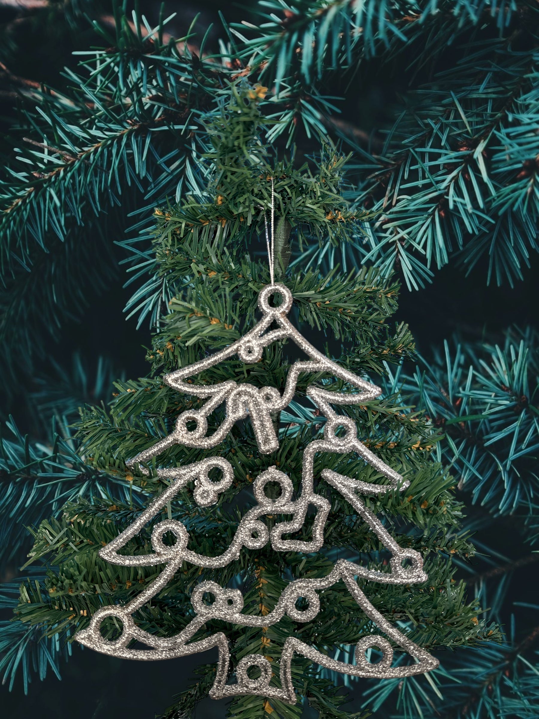 Appendino Abero Grande