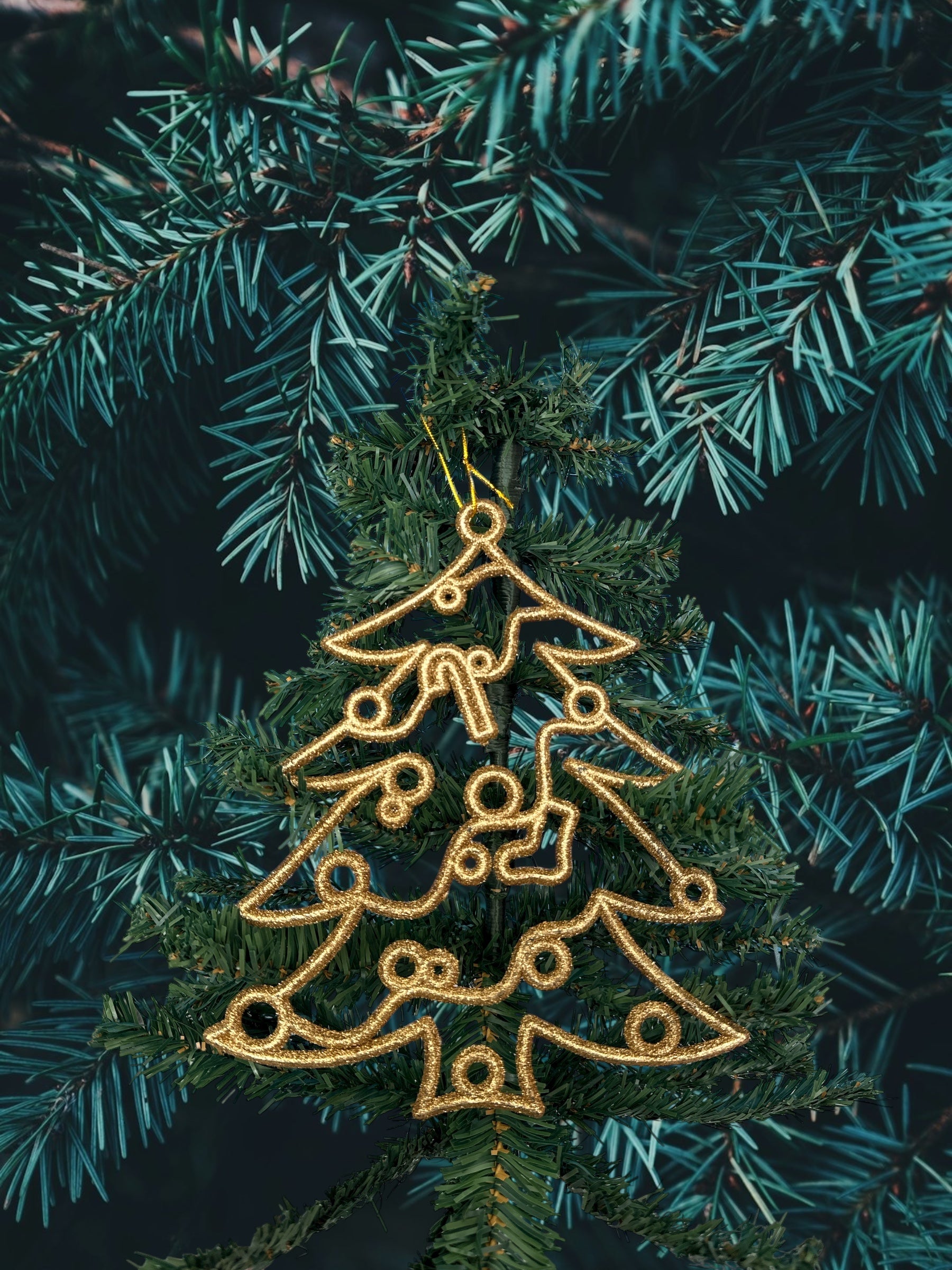 Appendino Abero Grande