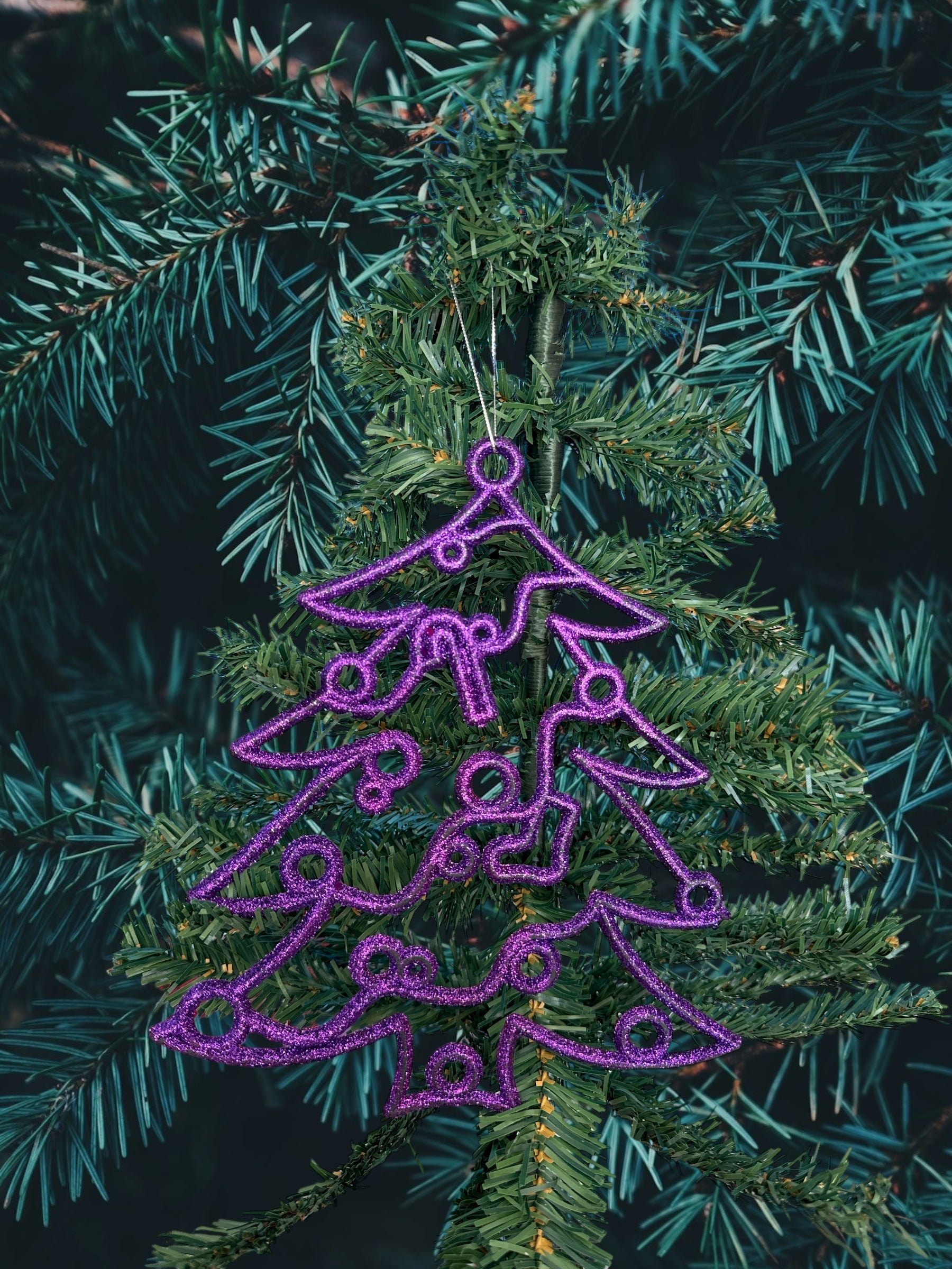 Appendino Abero Grande