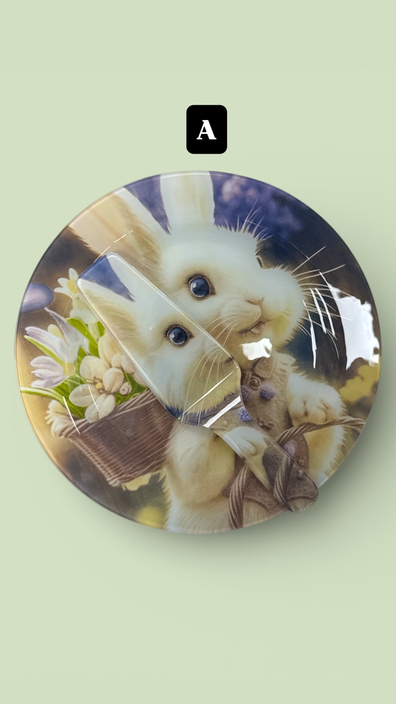 Set piatto tondo con paletta Pasquale