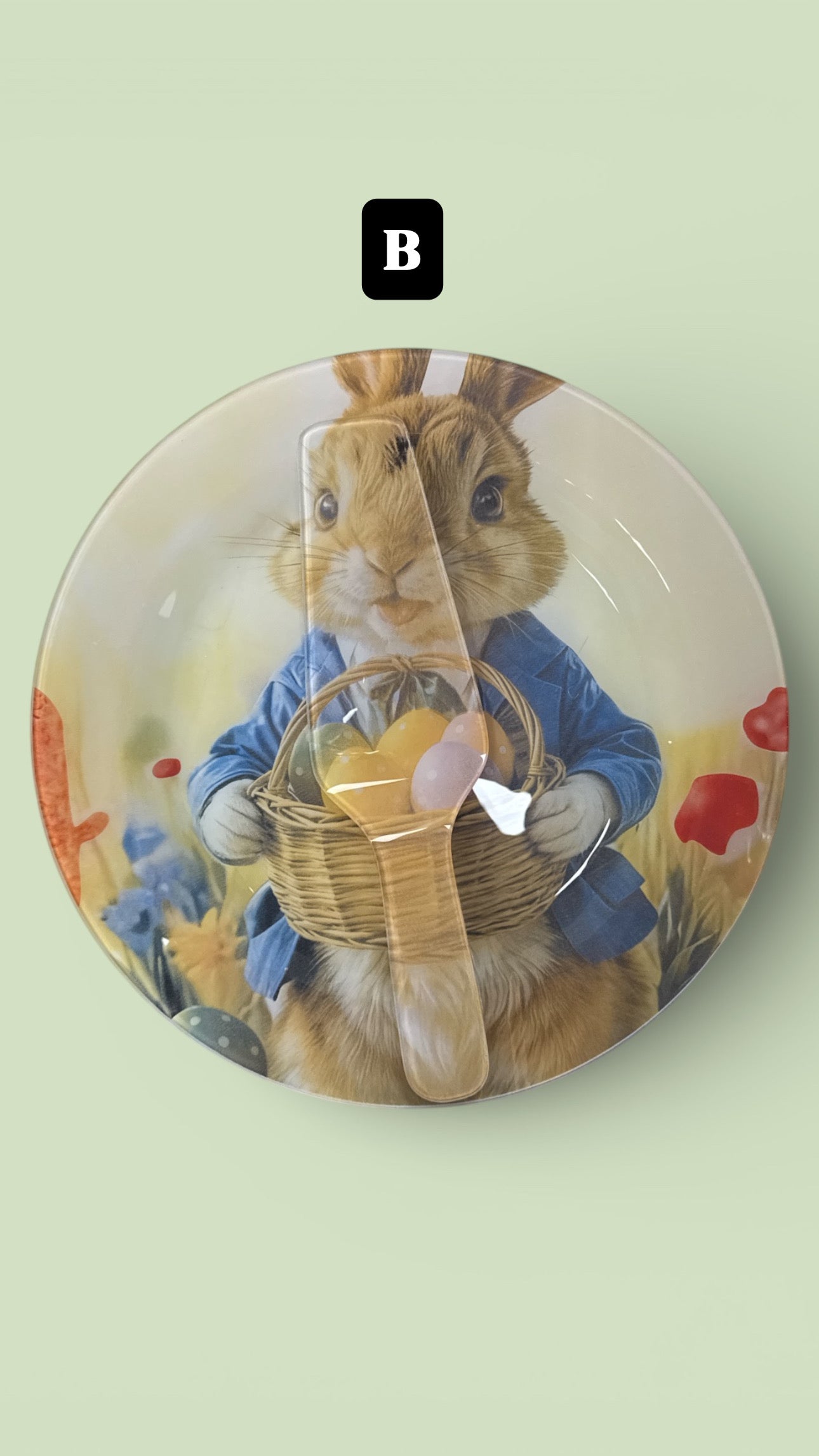 Set piatto tondo con paletta Pasquale