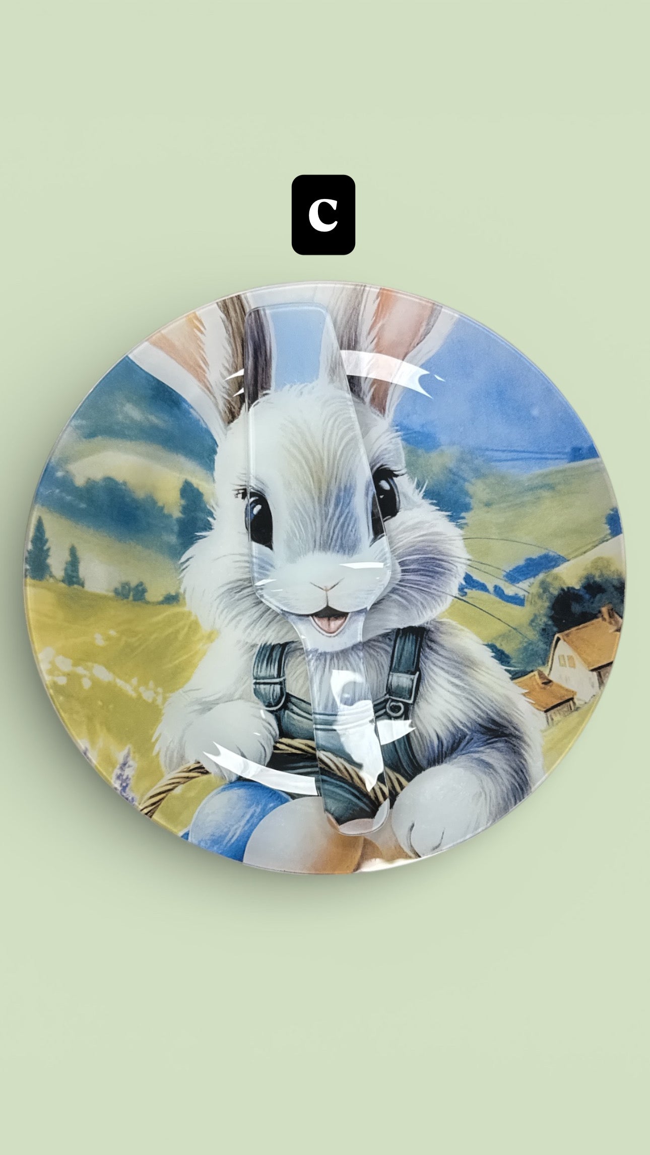 Set piatto tondo con paletta Pasquale